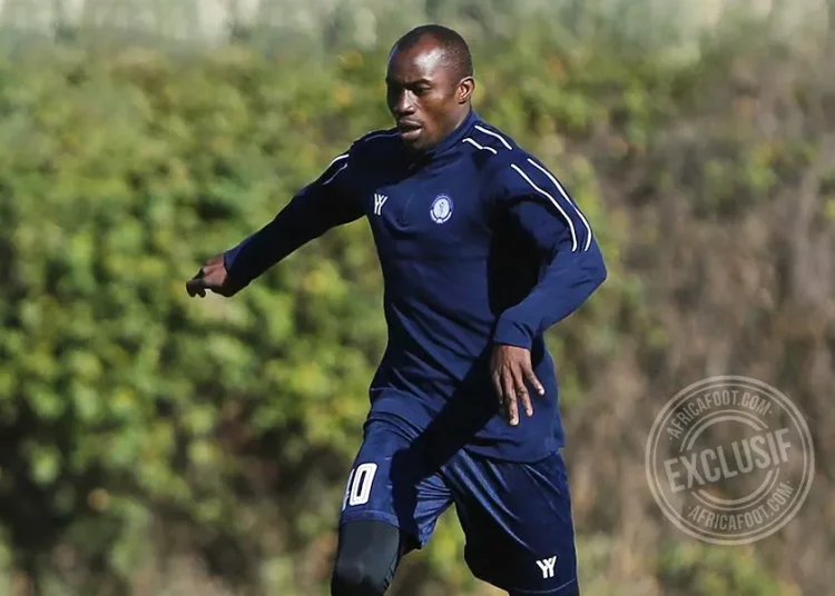 الأهلي في مفاوضات لضم بولي جونيور سامبو