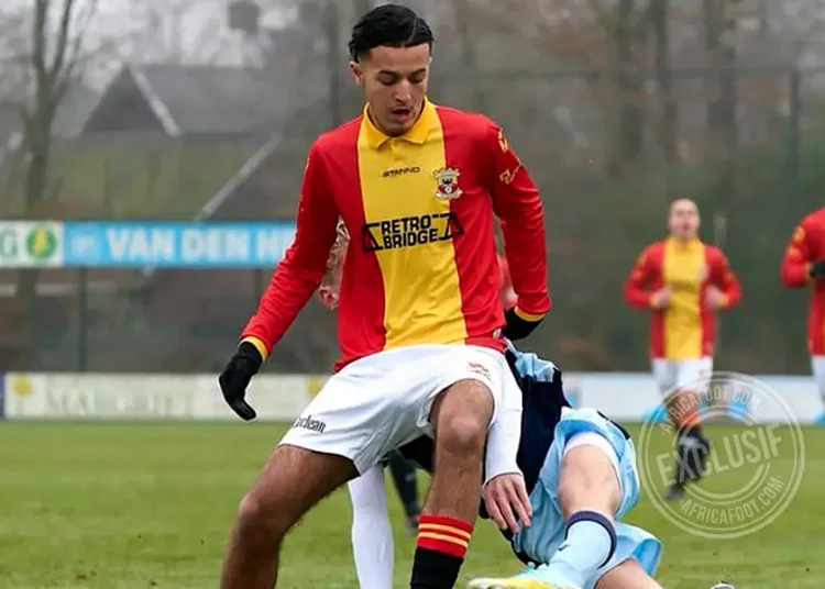 تقدير مالي وتعاقدي لعدنان البوجوفي